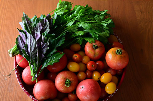 水をギリギリまで控え甘さを引き出した野菜